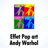 Faire Un Effet Pop Art Comme Andy Warhol En Ligne Convertimage